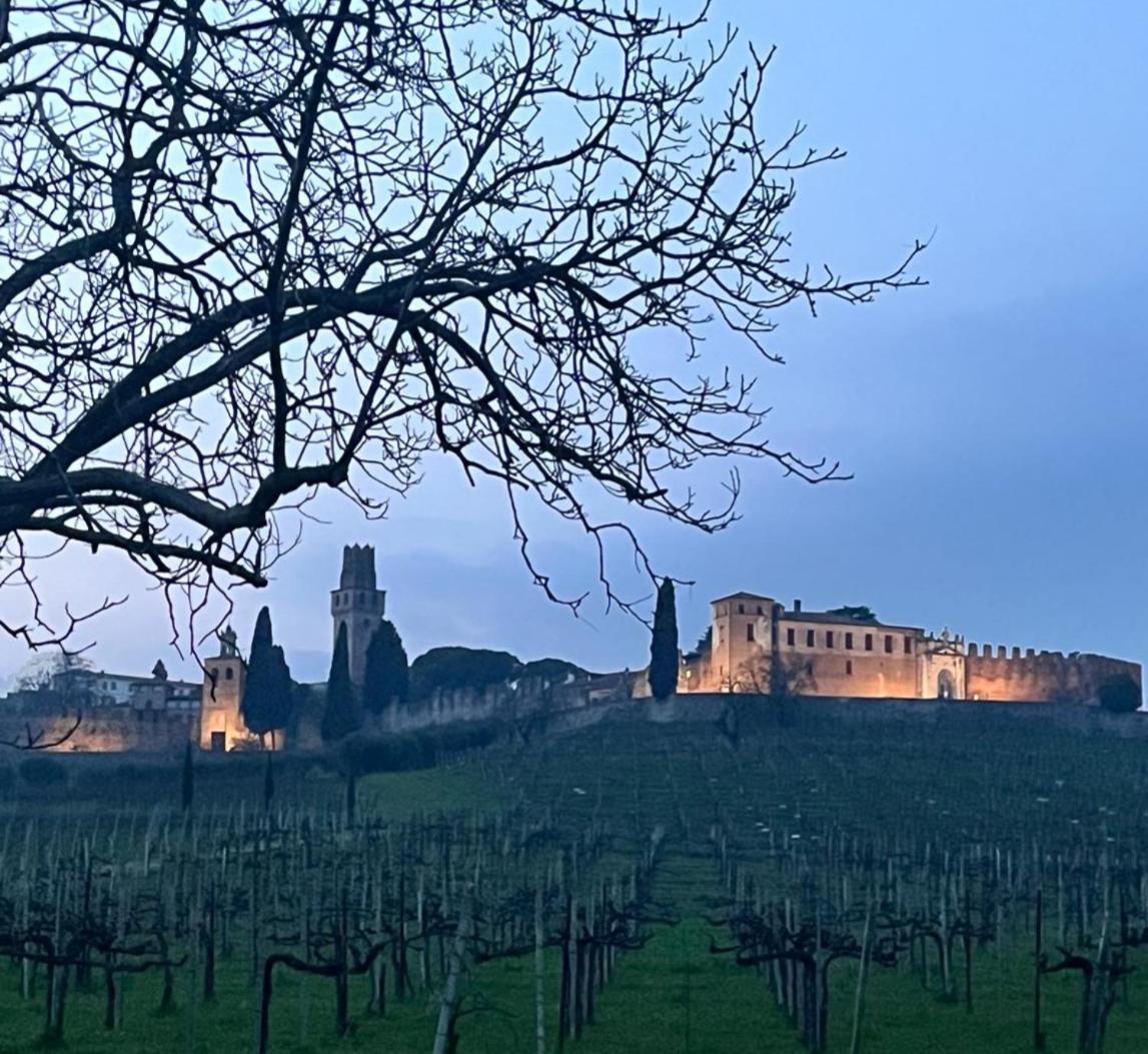 Willa I Sassi Della Piave Susegana Zewnętrze zdjęcie